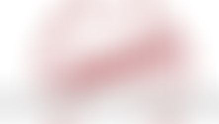 외국물품과 내국물품 혼용 시 세관장 사전 승인 필수! - 대법원 2019두55781 판결 분석