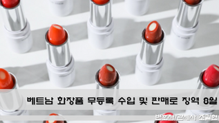 베트남 화장품 무등록 수입 및 판매로 징역 8월 선고받은 사건 분석