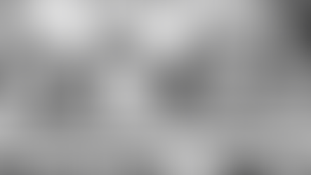 헌법재판소 : 관세법 제38조의3 제3항 '판결'에 형사판결 포함되지 않는다고 해석한 대법원 판결에 대하여...