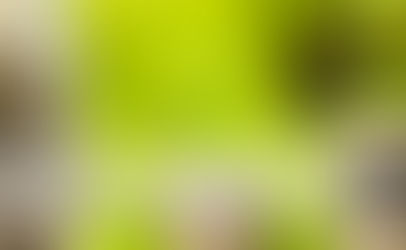 부담금에 관한 법률의 해석 원칙