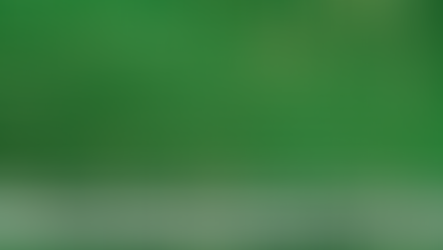 전자담배용 니코틴 용액에 대한 개별소비세 등 부과처분 관련 심판청구 결정례 분석