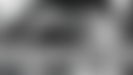 관세포탈죄: 포탈세액을 추정하는 방법이 허용되는가? 증명책임은 누구에게 있는가?