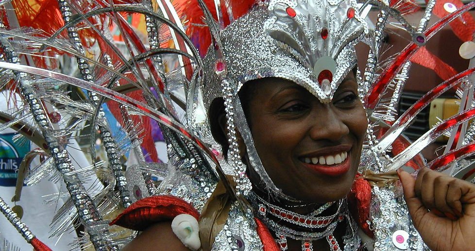 Our insider's list of things to do in Trinidad, which includes carnival,shark and bake,caroni bird sanctuary,grand riviere,roti,yerette