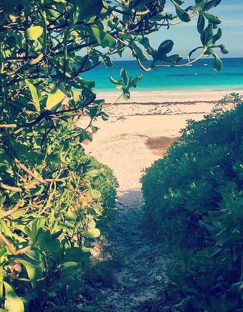 Pink Sands Beach