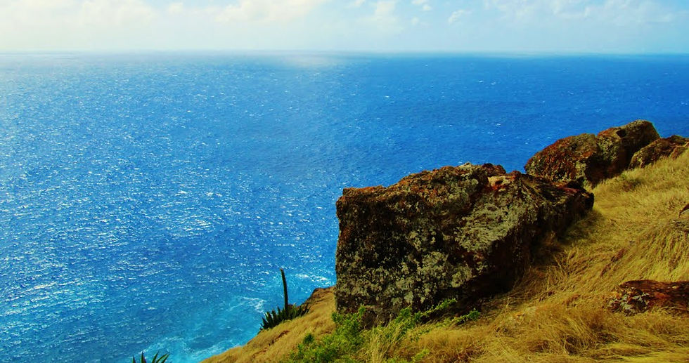 Our insider's list of things to do in Antigua, which includes rainforest canopy tour,valley church beach,frigate bird sanctuary,devil's bridge