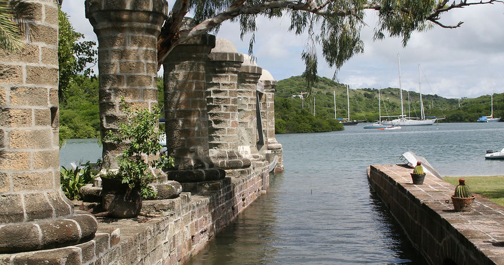 Our insider's list of things to do in Antigua, which includes rainforest canopy tour,valley church beach,frigate bird sanctuary,devil's bridge