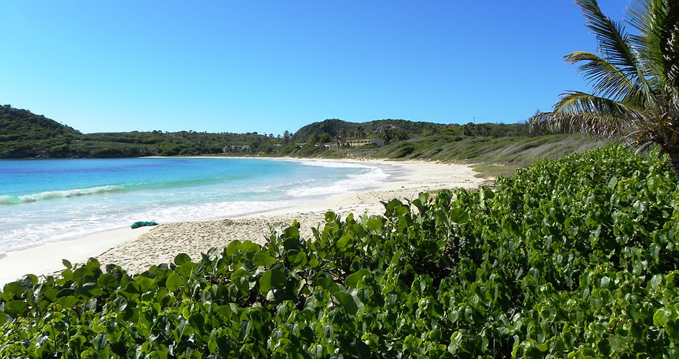 Our insider's list of things to do in Antigua, which includes rainforest canopy tour,valley church beach,frigate bird sanctuary,devil's bridge