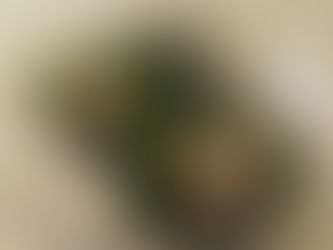 明石和菓子教室、7月の日程(7月9日現在)