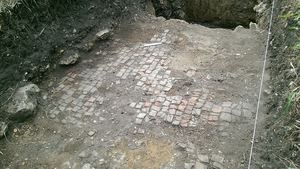 Roman tessellated pavement at Durobrivae