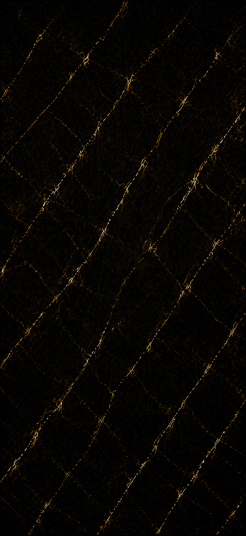 5d3f333d-7fce-48de-acf0-518c255f5168.png