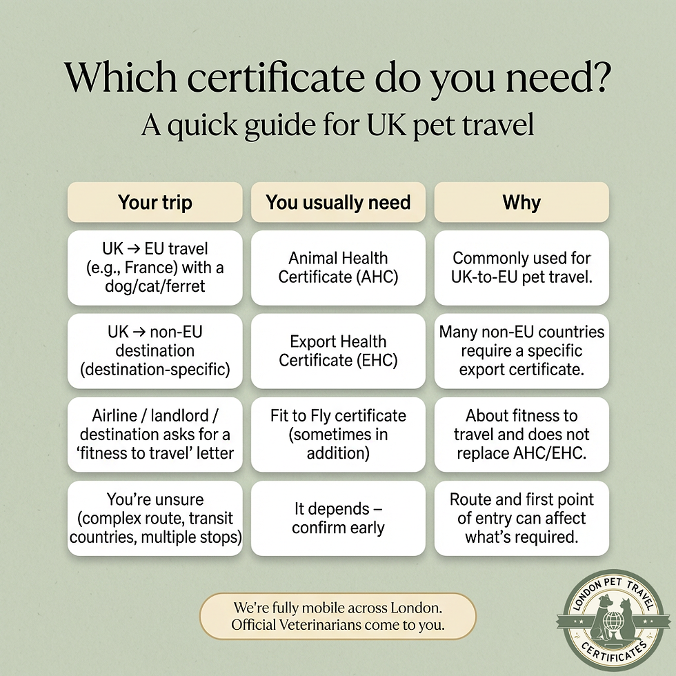 Image representing each certificate type