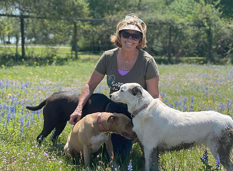 Tammy and 3 dogs.JPG