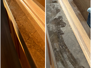 Professional cleaner