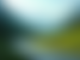 Mastering Group Motorcycle Riding and Communication for Unforgettable New Zealand Tours