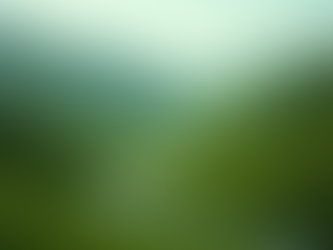 Essential Guide to Downloadable Motorcycle Route Maps for Epic New Zealand Tours