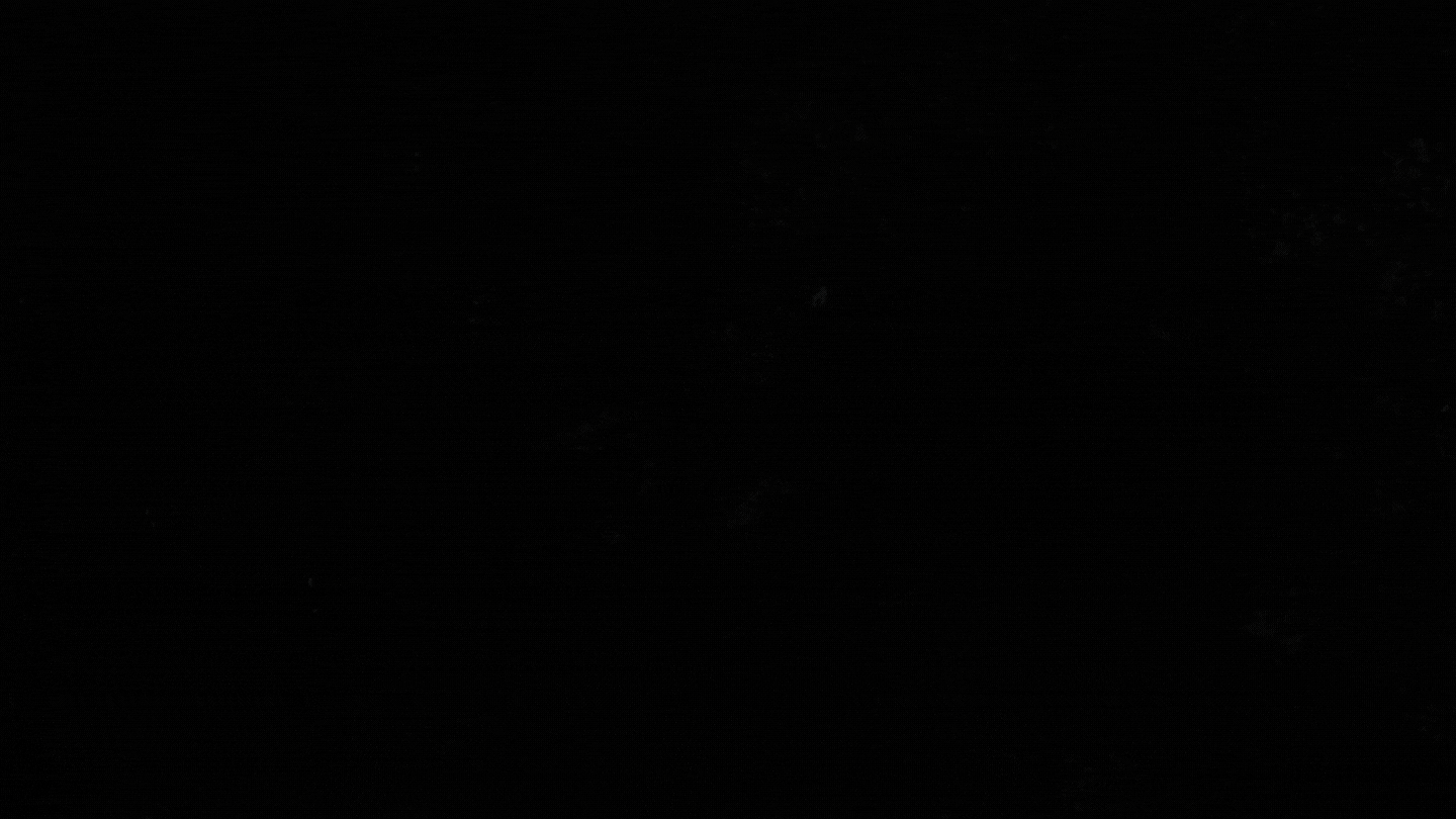 banner site (1).gif