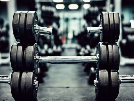 Dominate Your Fitness Goals with 505 Performance Training