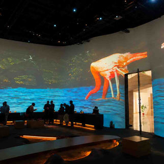 Immersive Climate Change Room Installation in Riyadh Saudi Arabia