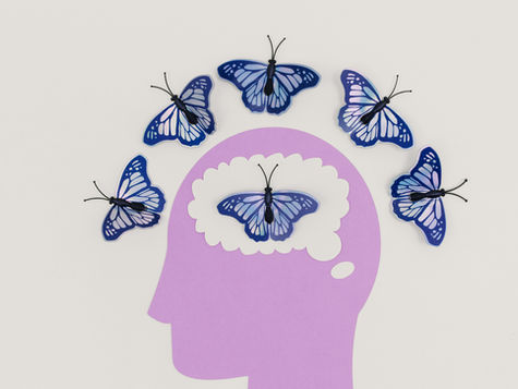 Descubre el Sistema Endocannabinoide