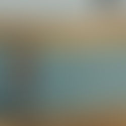 My Evening With Zodiac (2007)