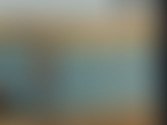 My Evening With Zodiac (2007)