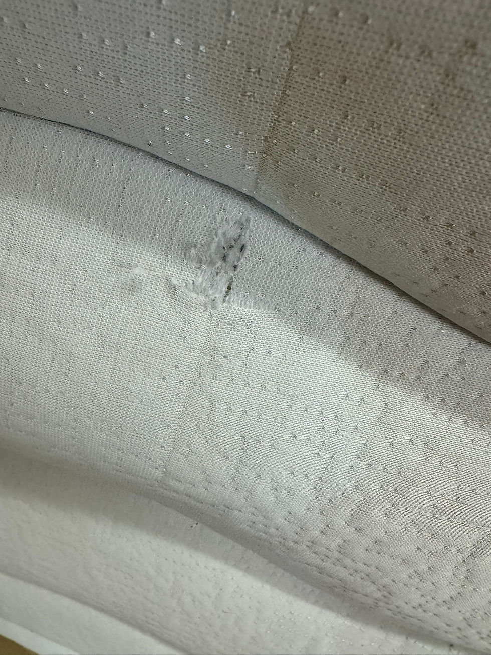Miniatura: (4533W2)*株式会社もしもダブルマットレ -KABUSHIKI GAISHAMOSHIMOSHI DOUBLE MATTRESS