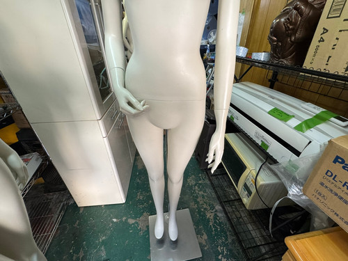 (3979W1)*株式会社パールマネキン レディースマネキン全身 3979W1)*株式会社パールマネキン レディースマネキン全身