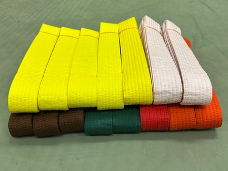 昇級審査を行いました