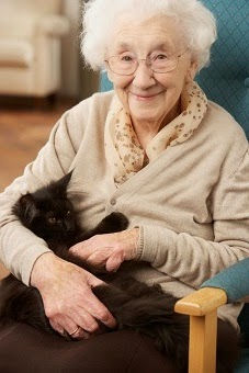 catlady