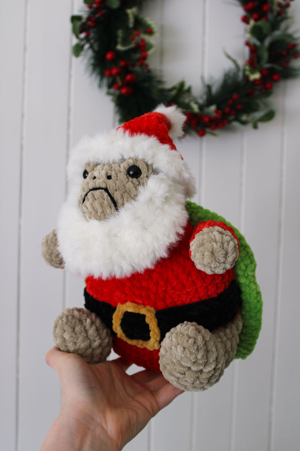 Thumbnail: A grumpy christmas turtle held up against a white wooden wall.