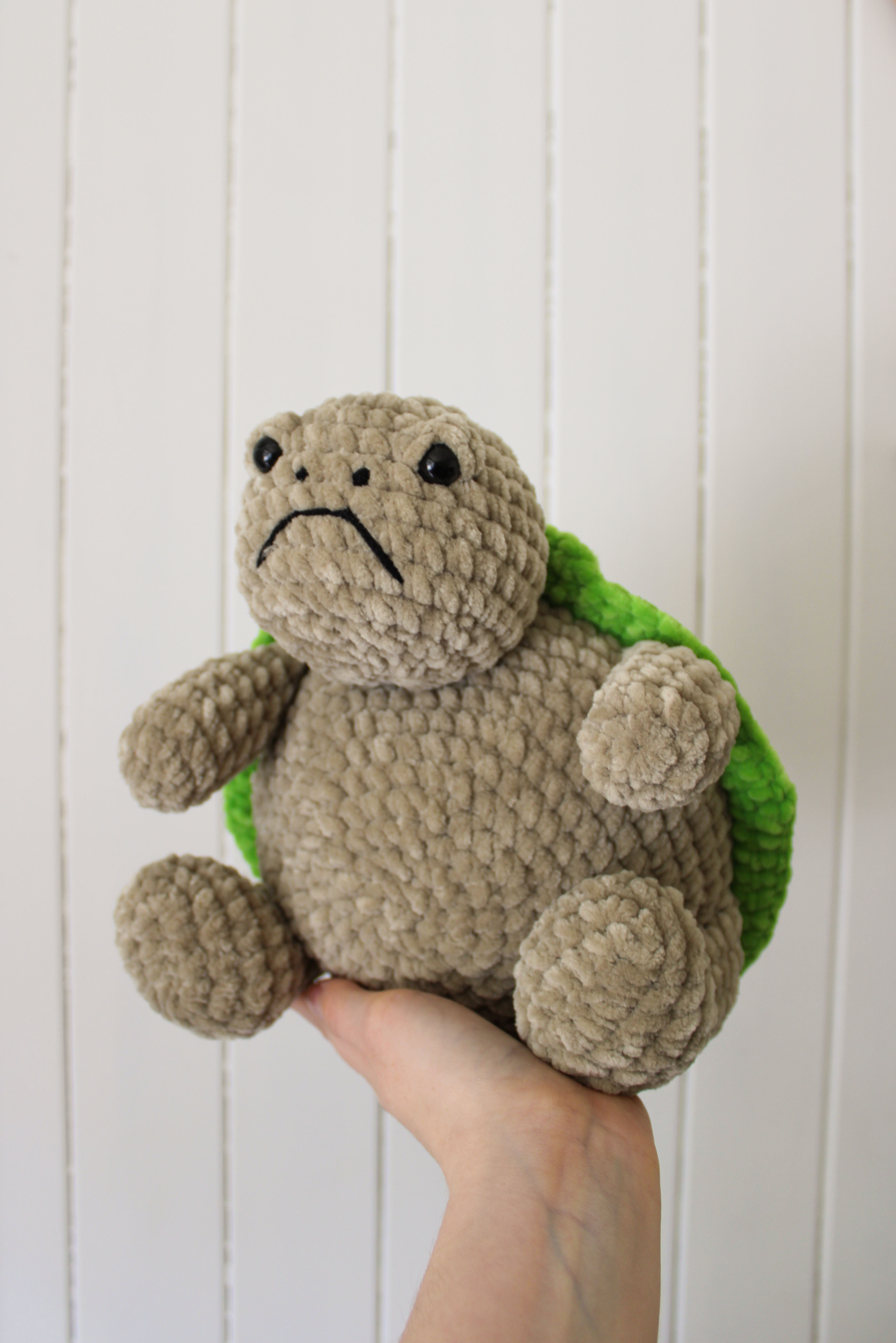 11" Grumpy Turtle