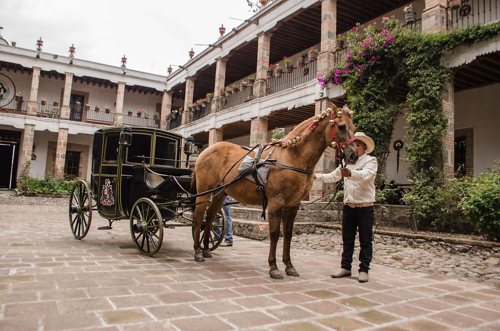 Hacienda Buenavista
