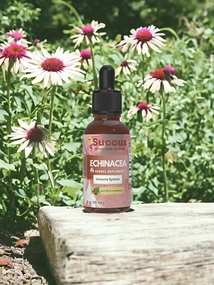 Discover the Natural Power of Echinacea: A Time-Tested Herbal Ally for Your Wellness