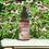 Thumbnail: Echinacea Tincture - Immune System