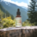 Aussie Blushwood Berry - EBC-46 | MySuccus