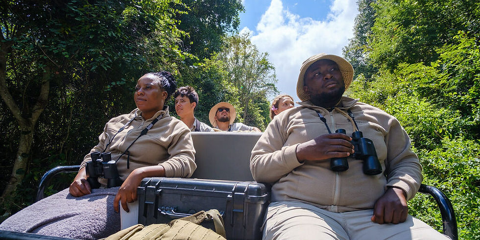 Bushwise students on a game drive, using their binoculars to spot birds in a forest outside of Kruger National Park