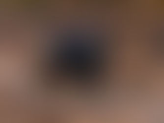 Announcing our new IFGA Safari Guide Short Course 2 Months