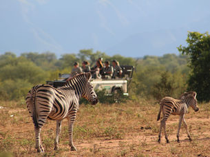 The importance of a work placement