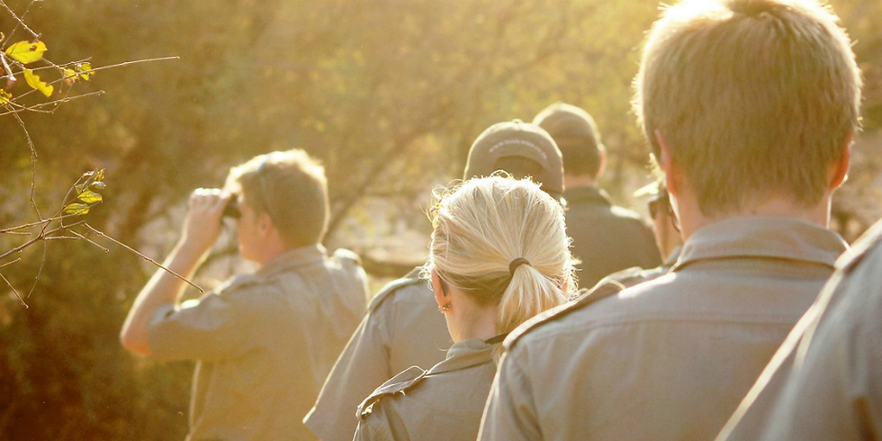 Bushwise students on a walk