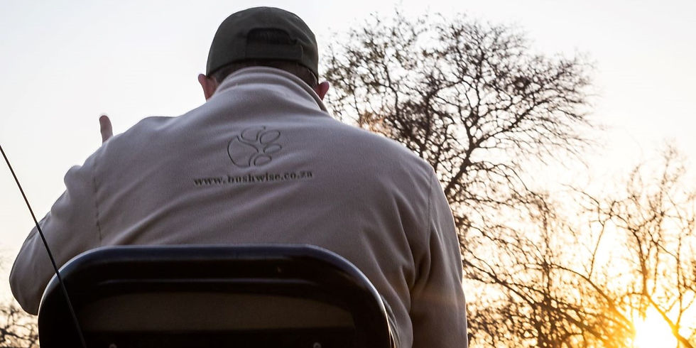 A Bushwise trainer wearing a branded fleece, sitting on the tracker seat as the sun rises in the South African bush.