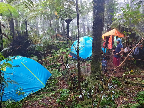 Assessment team setting up camp in the cloud forests of Mt Ginsayawan.jpg
