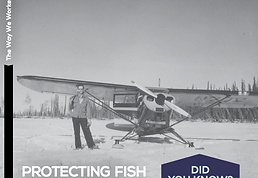 Screen Shot 2020-08-11 at 4.10.27 PM.png