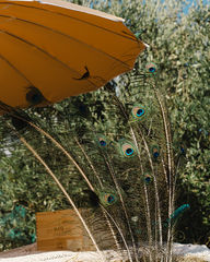 La Corte di Dama_Piume Pavone