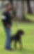 IMG_4423(1).PNG