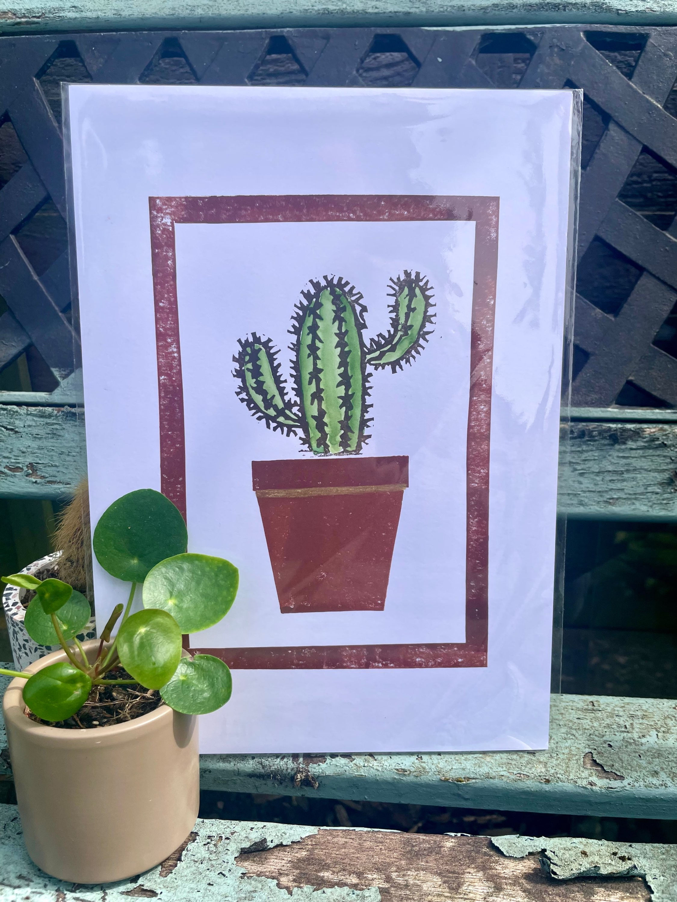 Cactus 