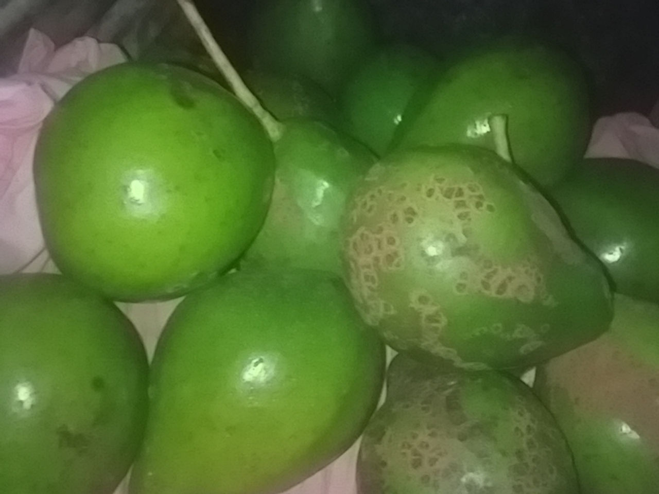 Frutas sem agrotóxico 