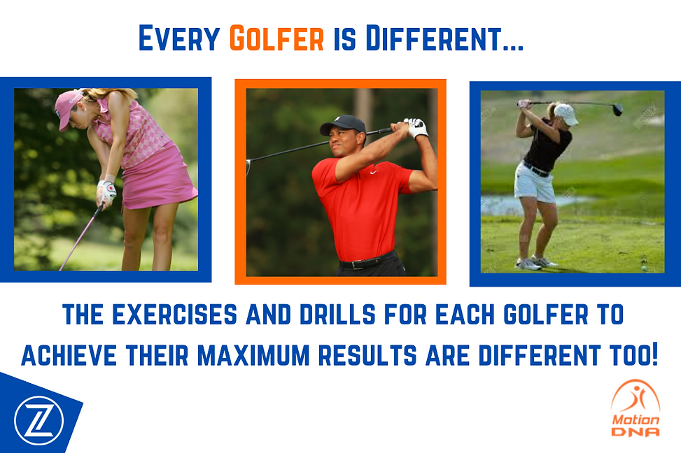 Basketball web (1).png