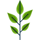 cropped-leaf.png