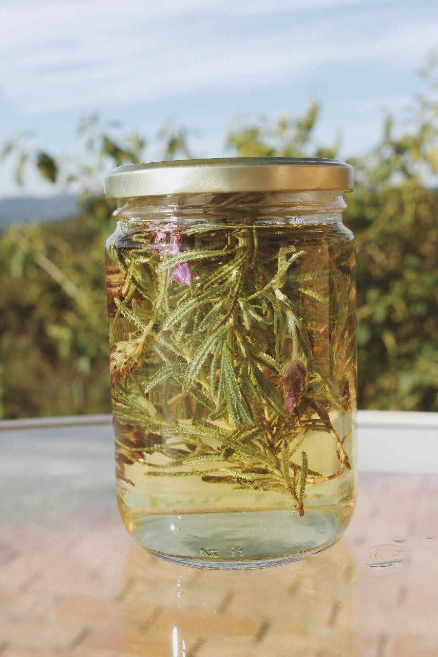 Tônico para Cabelos - Vinagre e infusão de ervas - Cabelos bonitos e mais fortes - Cosméticos Naturais e Veganos