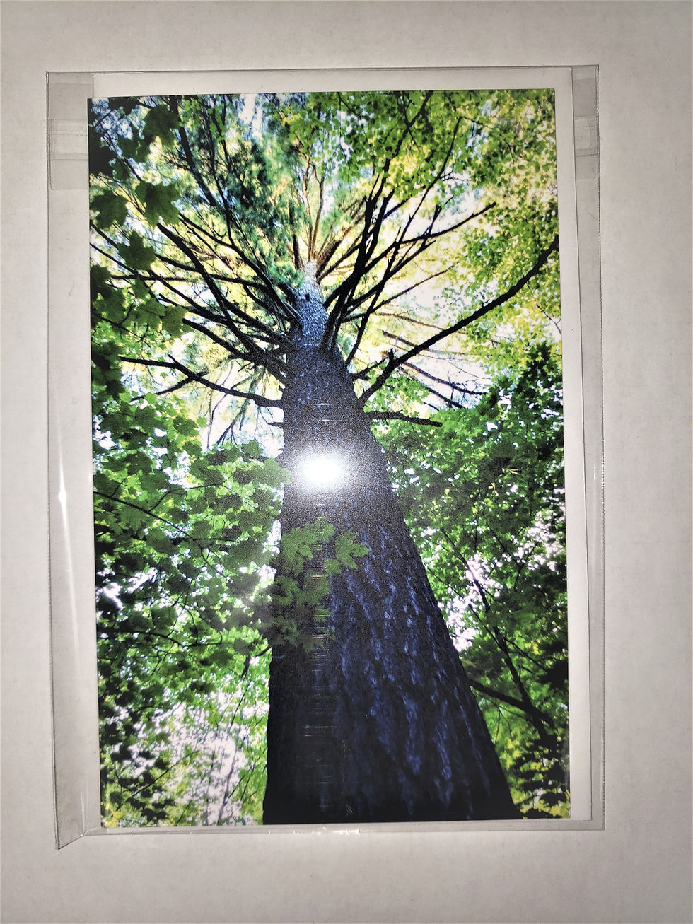 Thumbnail: Dee Croaker - Cards